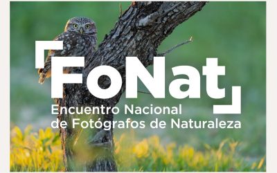 Dos de mis fotografías seleccionadas para la exposición “Ecos de un instante” – FoNat 2025